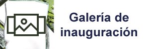 galeria-ver-artea-2021