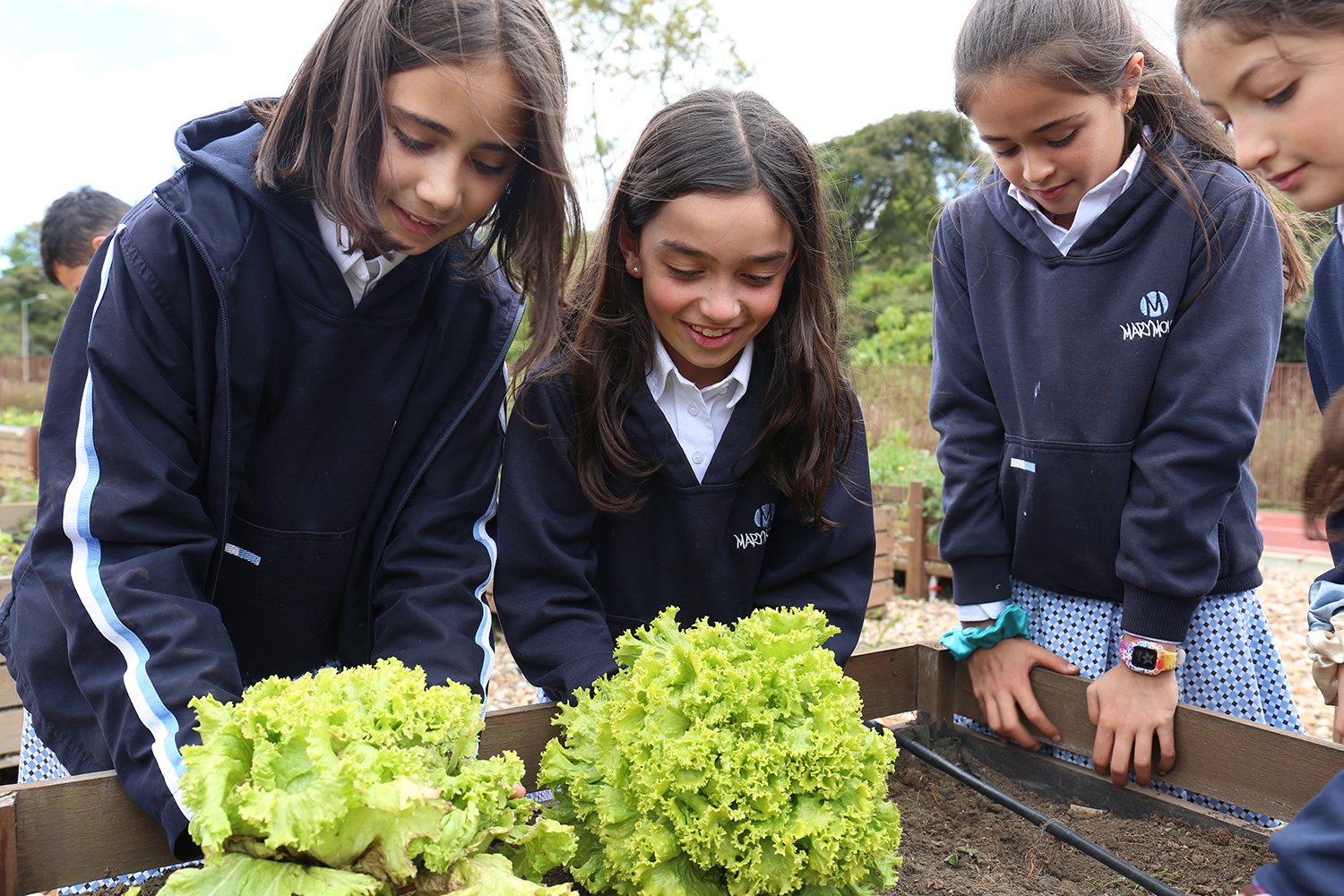 Primaria Marymount