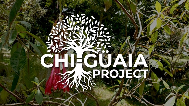 boton-chiguaia