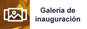 btn-sitio-galeria-inauguracion