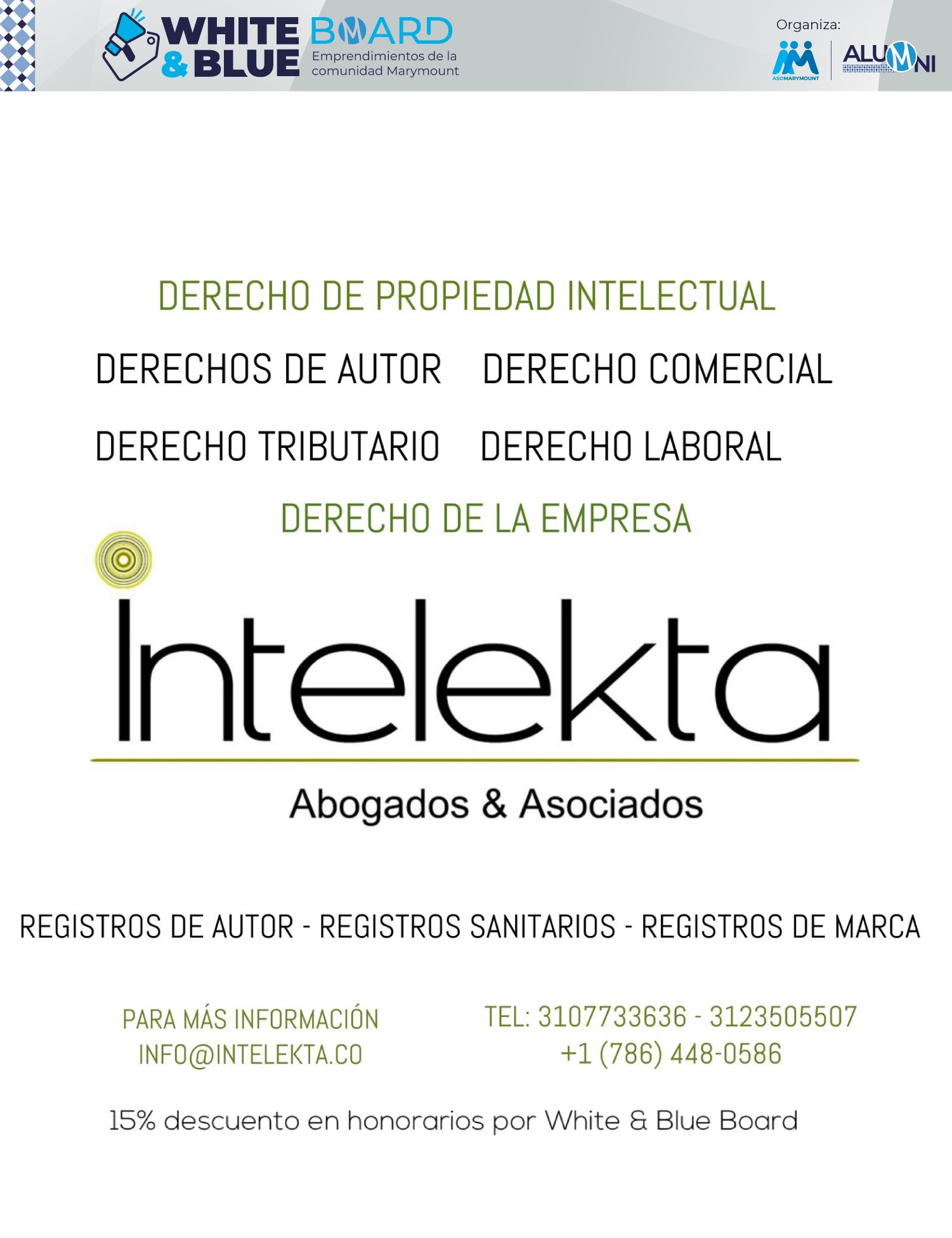 INTELEKTA-2024